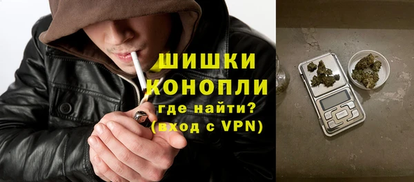 сатива Белоозёрский