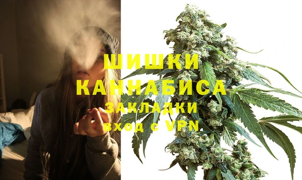 сатива Белоозёрский