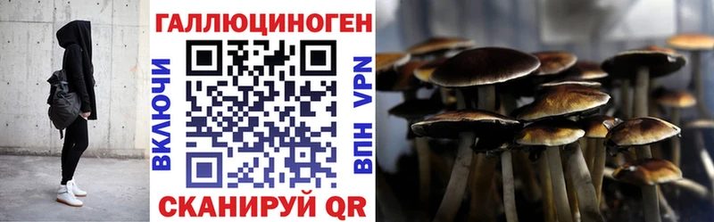 Галлюциногенные грибы GOLDEN TEACHER  Купить где  Георгиевск 